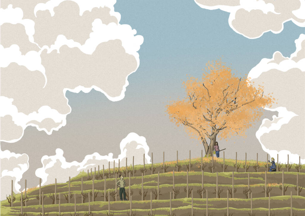 vin Les trois sorcières domaine goudard et filles