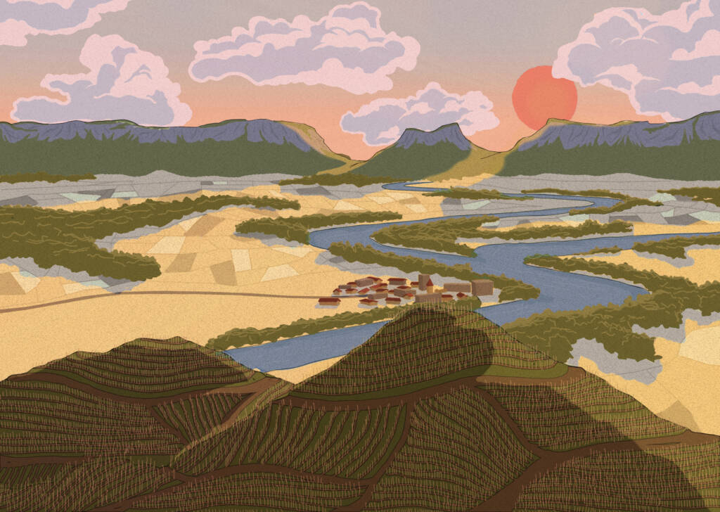 vin méandres domaine goudard et filles